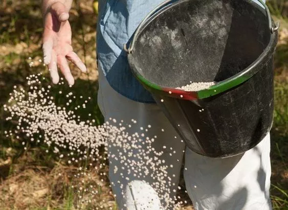 Как ухаживать за почвой / Фото: pinterest