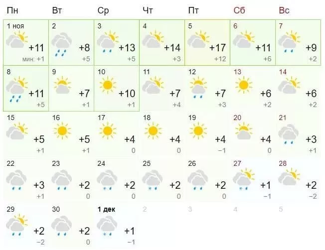 Погода у Києві в листопаді / скріншот gismeteo.ua