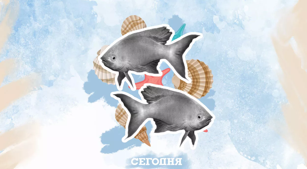 Риби (20 лютого – 20 березня) 