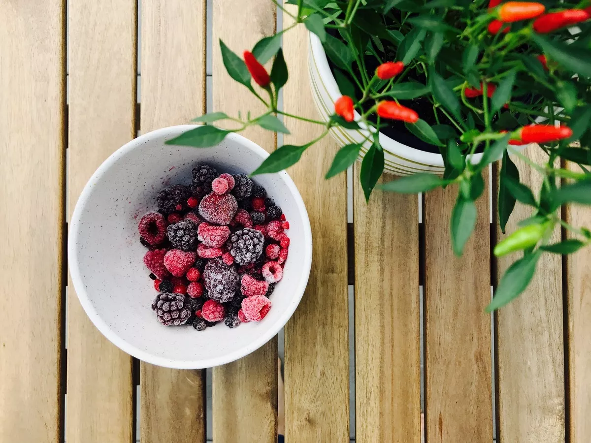 Чем скорее после сбора заморожены ягоды, тем они полезнее. Главное – их не размораживать и повторно не замораживать несколько раз. 