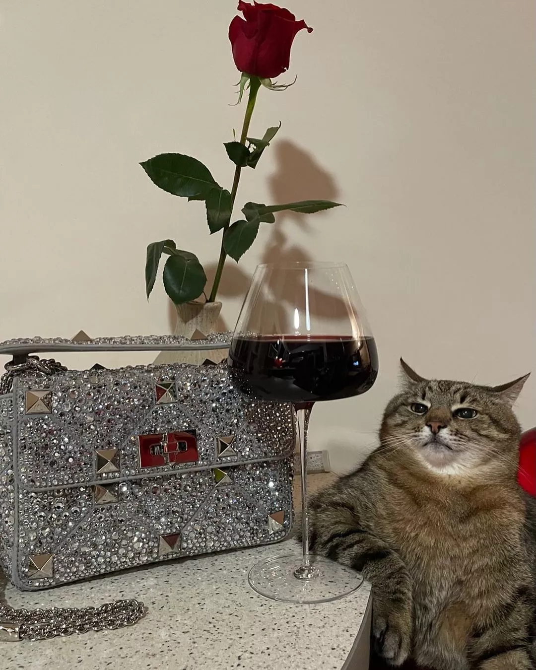 Кіт Степан прорекламував сумку Valentino