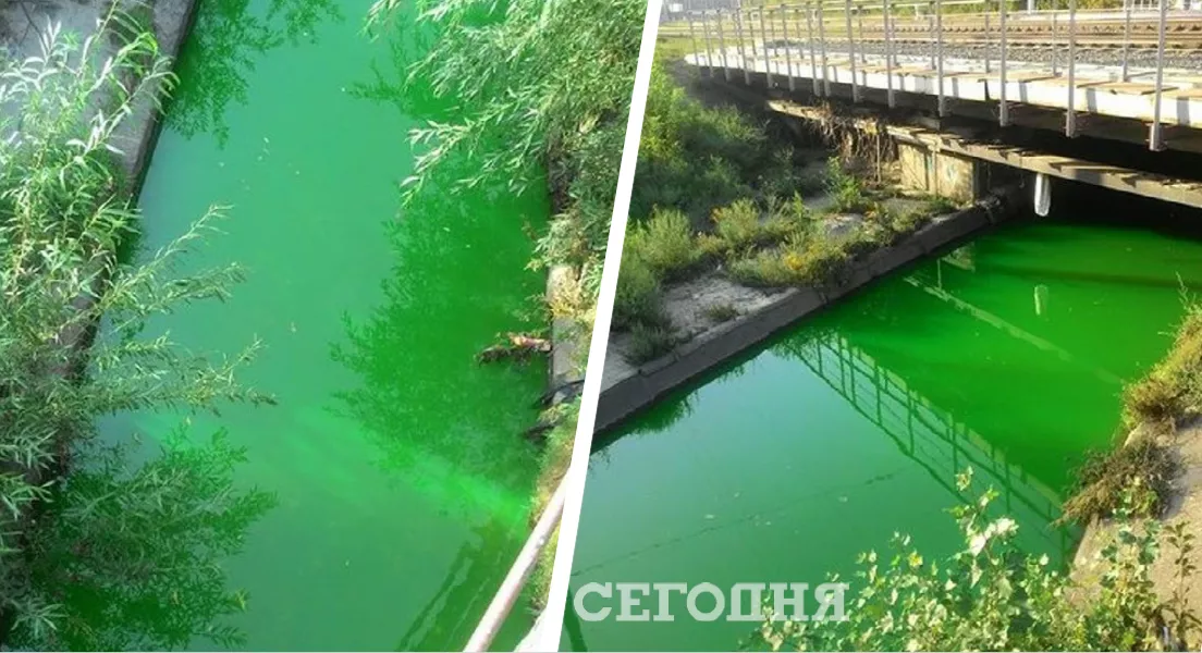 В Киеве речка Лыбидь стала ярко-зеленой