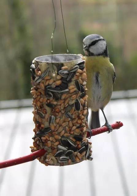 Как сделать кормушку для птиц / Фото: pinterest
