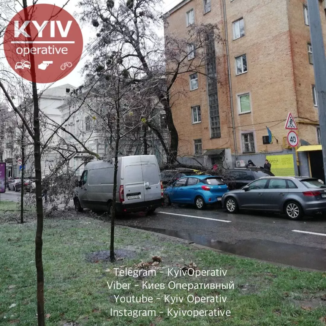 В Киеве из-за непогоды падают деревья. Фото: "Киев оперативный".