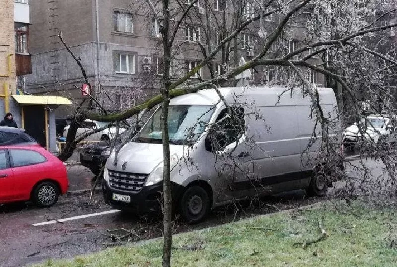 В Киеве из-за непогоды падают деревья. Фото: Big Kyiv.