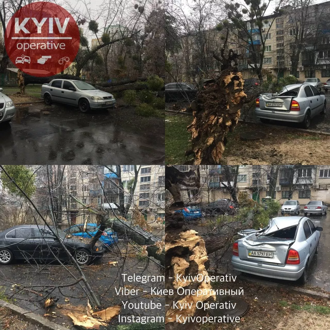 В Киеве из-за непогоды падают деревья. Фото: "Киев оперативный".