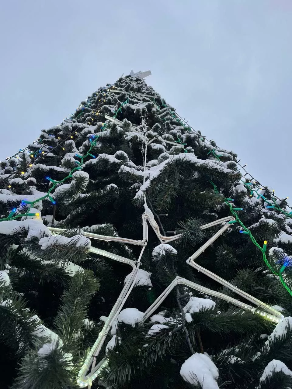 На курорте уже установили новогоднюю елку/Фото: "Сегодня", автор — Татьяна Очеретяная
