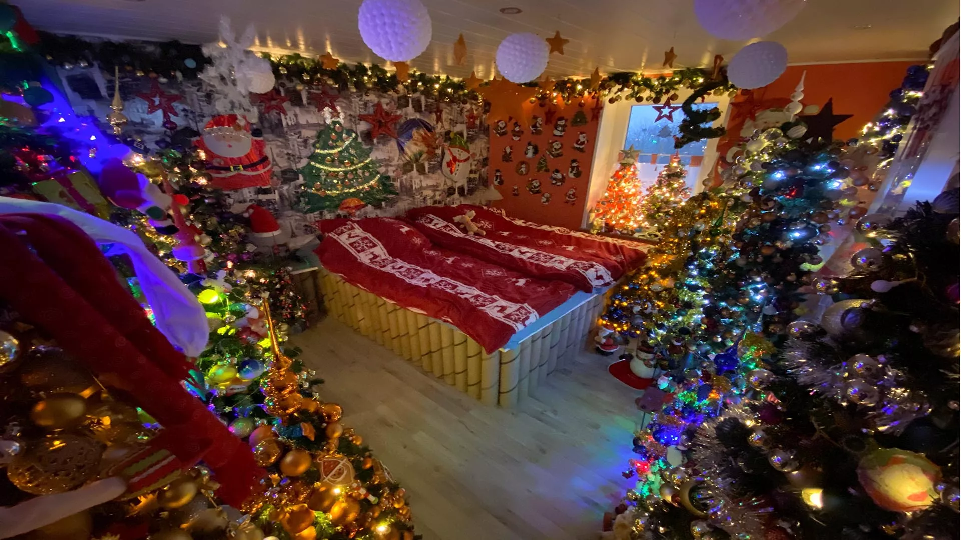 Царство новорічних ялинок у будинку подружжя з Німеччини