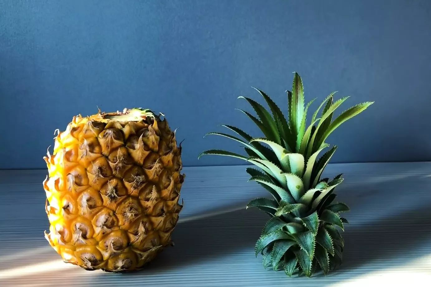 Как вырастить ананас / Фото: pinterest