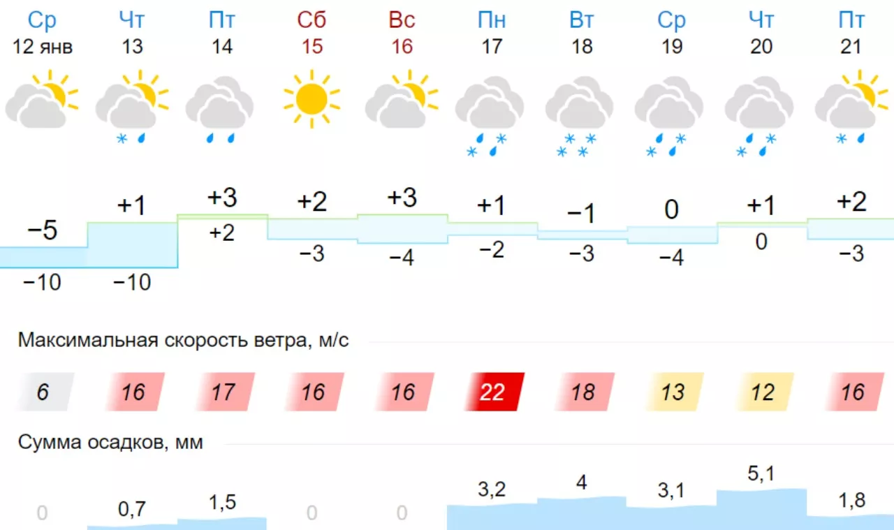 Погода во Львове на 19 января. Скрин: Gismeteo