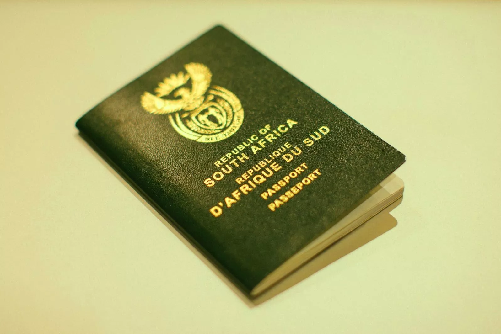 Як за кольором паспорта визначити країну / Фото: unsplash 