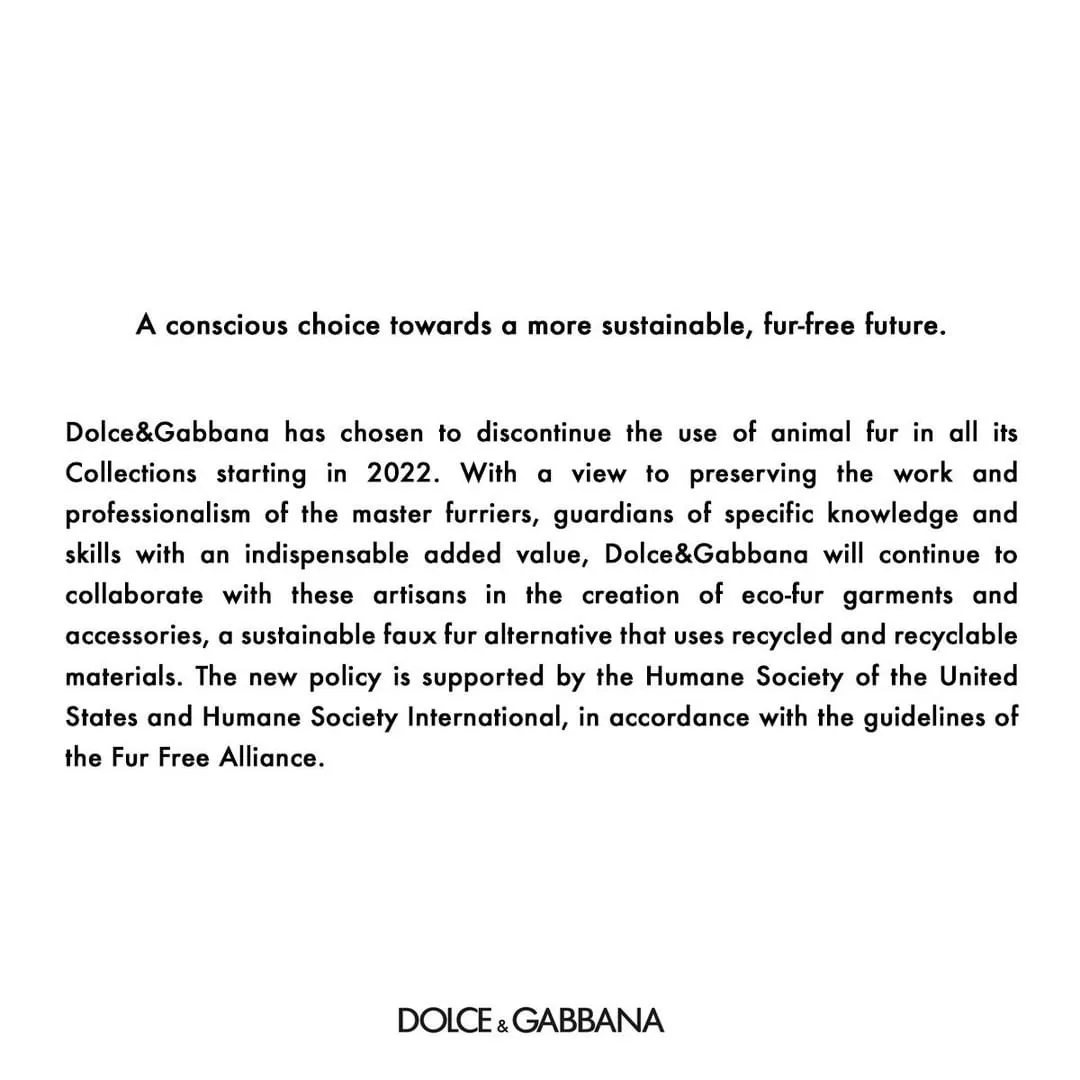 Официальное заявление Dolce & Gabbana о прекращении использования натурального меха