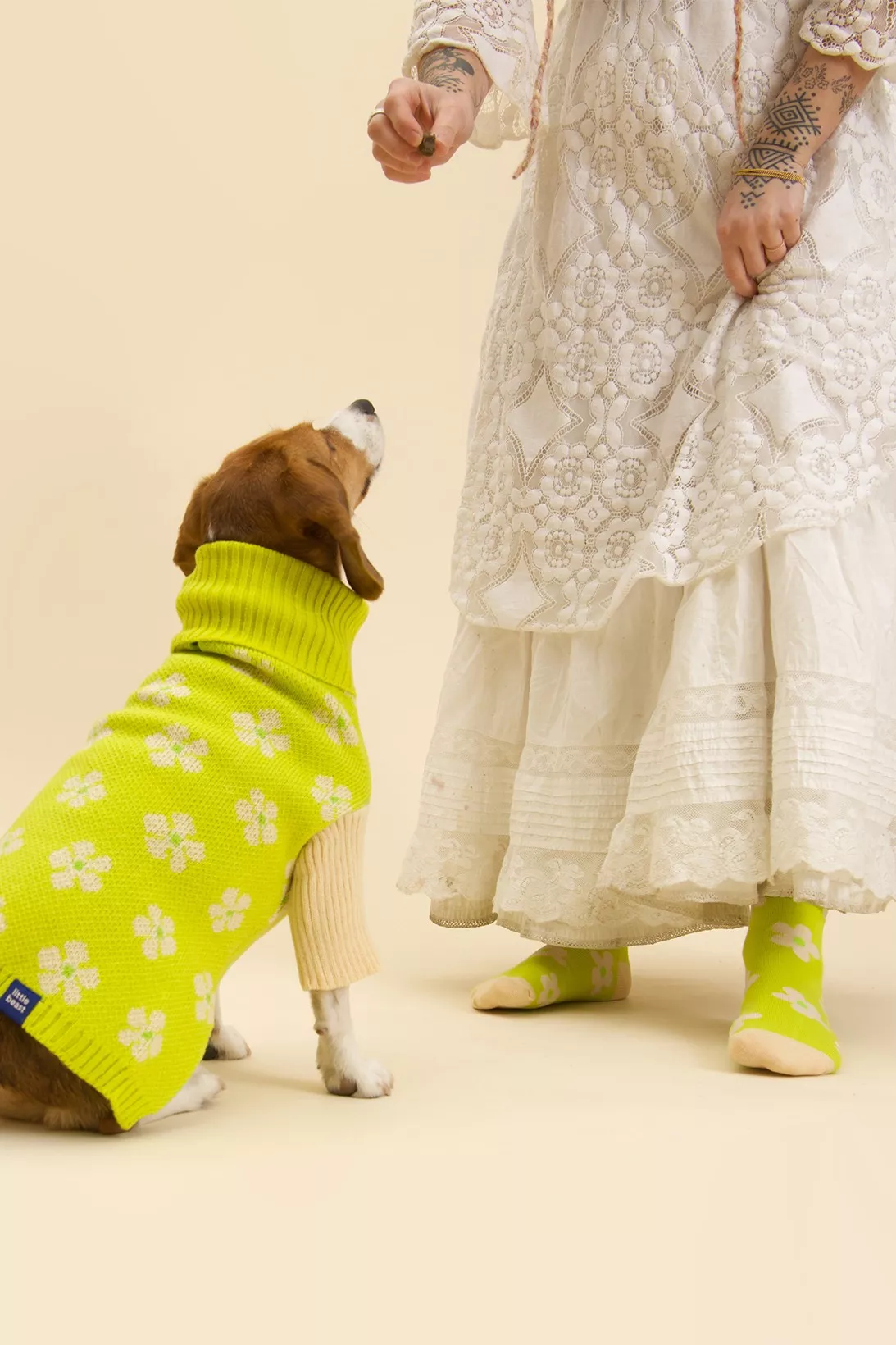 Little Beast выпустили коллекцию одежды для людей и их питомцев: кофточка для собаки (1546 грн) носки (407 грн)