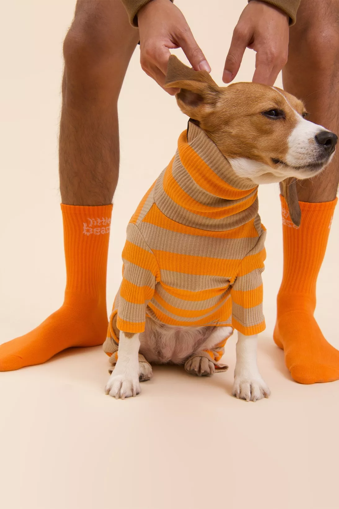 Little Beast випустили колекцію одягу для людей та їхніх вихованців: шкарпетки (370 грн), собачий светр (1265 грн)