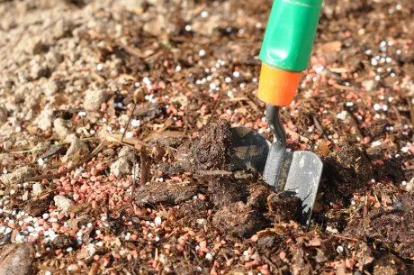 Как вносить подкормку в почву / Фото: pinterest