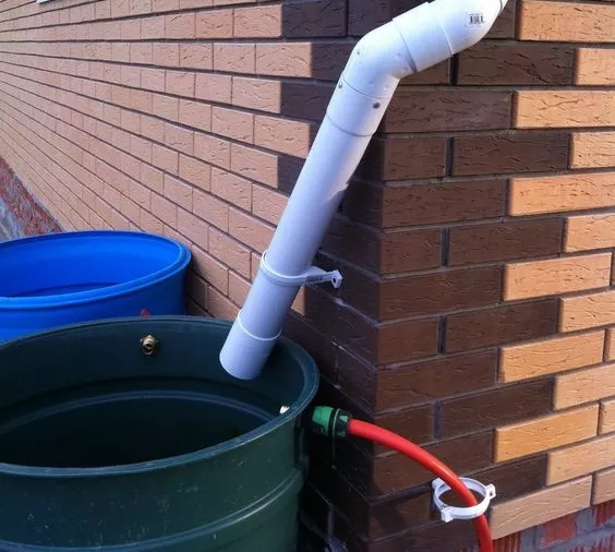 Як збирати дощову воду / Фото: pinterest