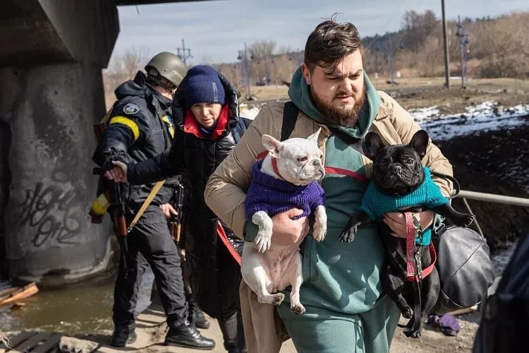 Трогательные фото эвакуации людей и их питомцев