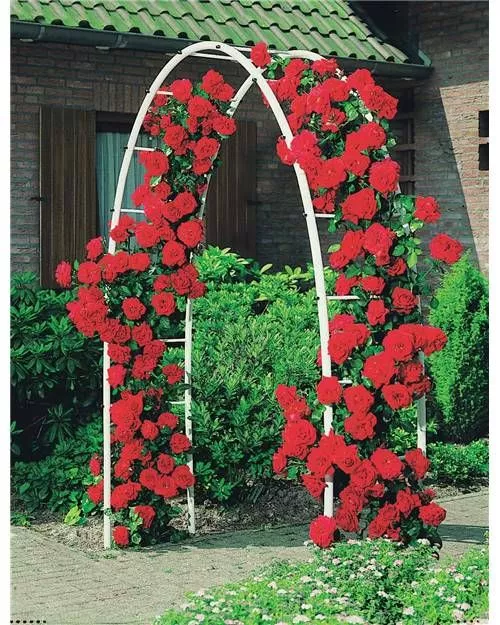 Кованые арки для роз