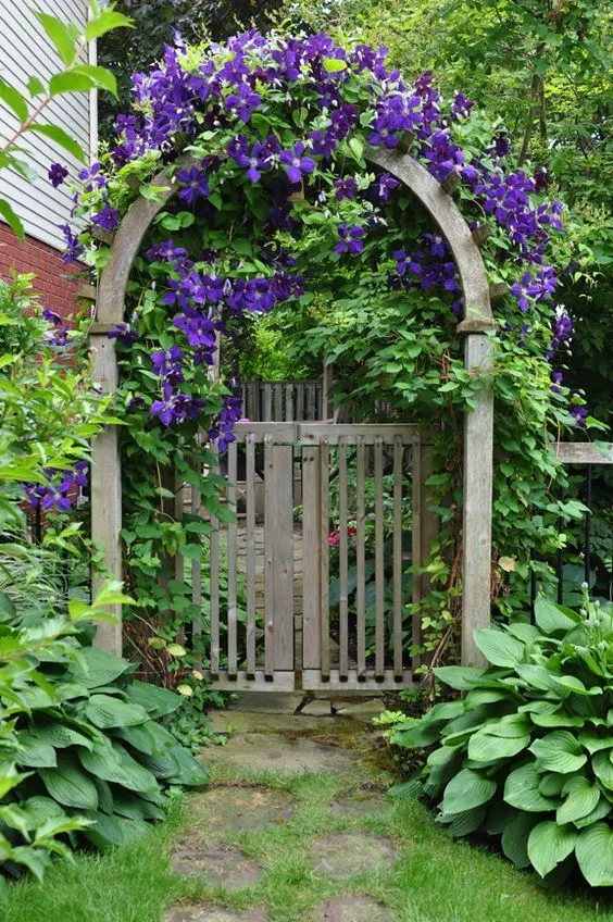 Садовые арки в дизайне вашего сада