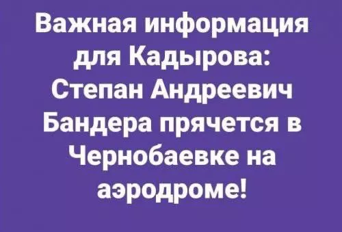 Мемы о Чернобаевке, которые бы оценил Зеленский
