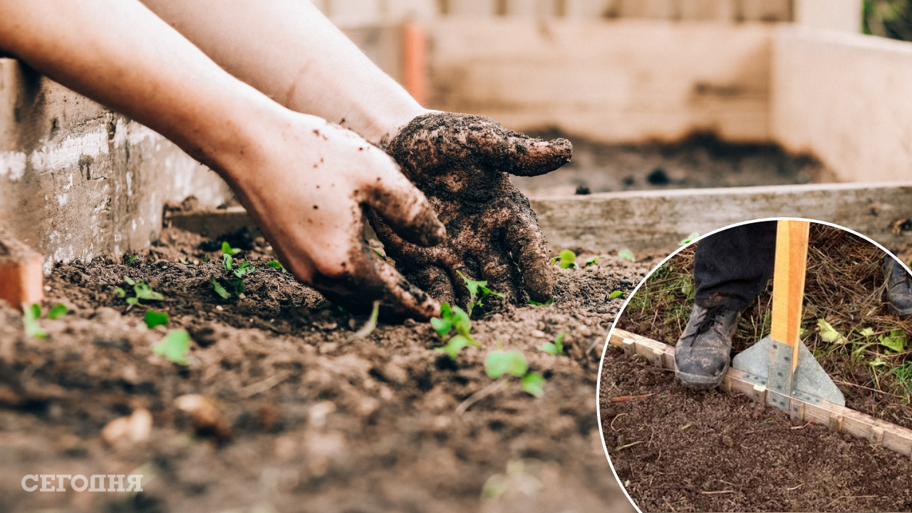 Подскажите размеры посадки рассады и семян лука и овощей в грунт