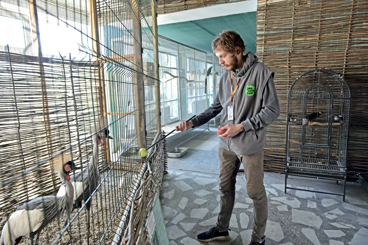 Сотрудники присматривают за животными круглосуточно / фото Киевский зоопарк