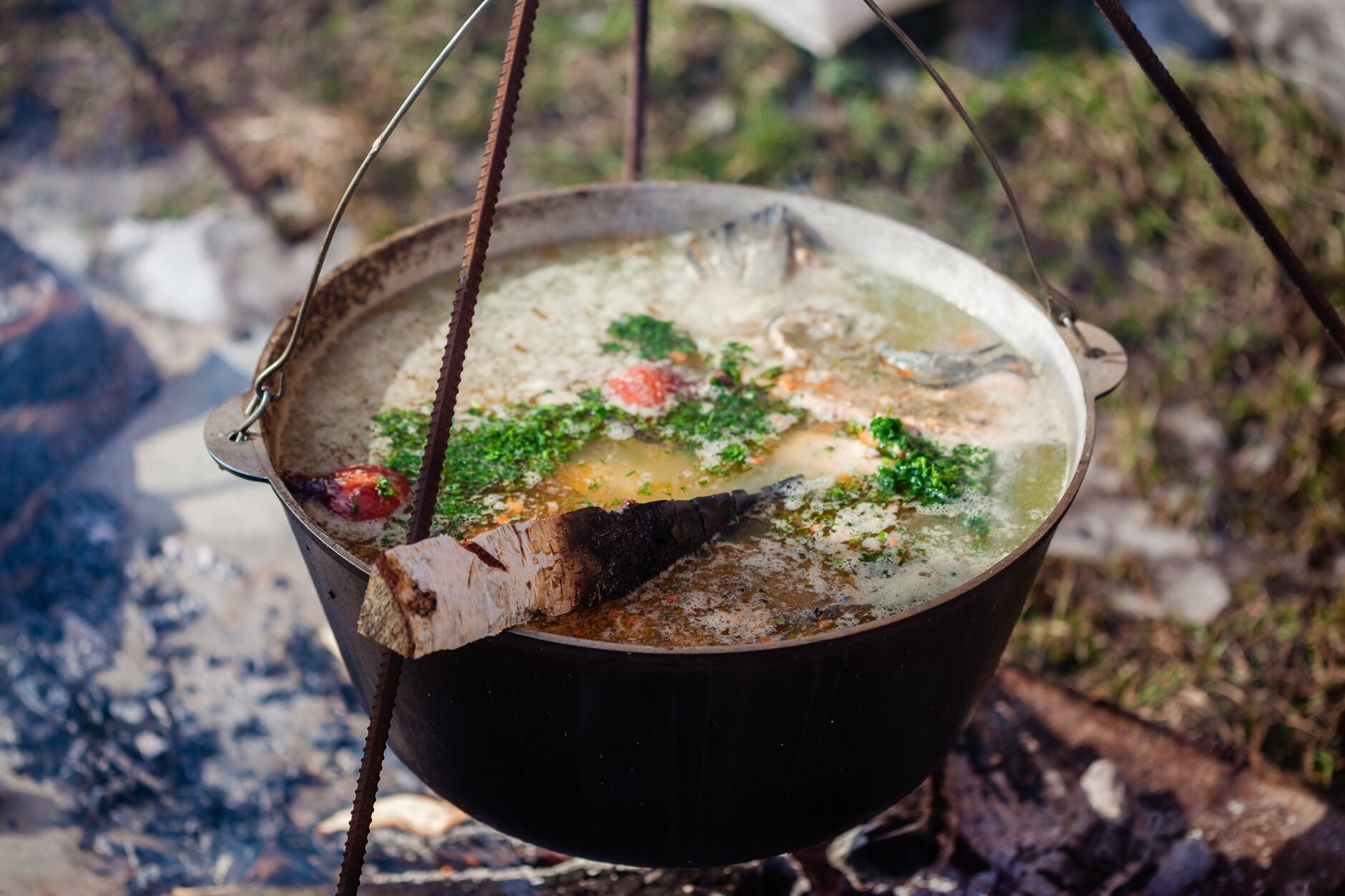 Рыбный суп из головы семги и хвоста рецепт с фото пошагово