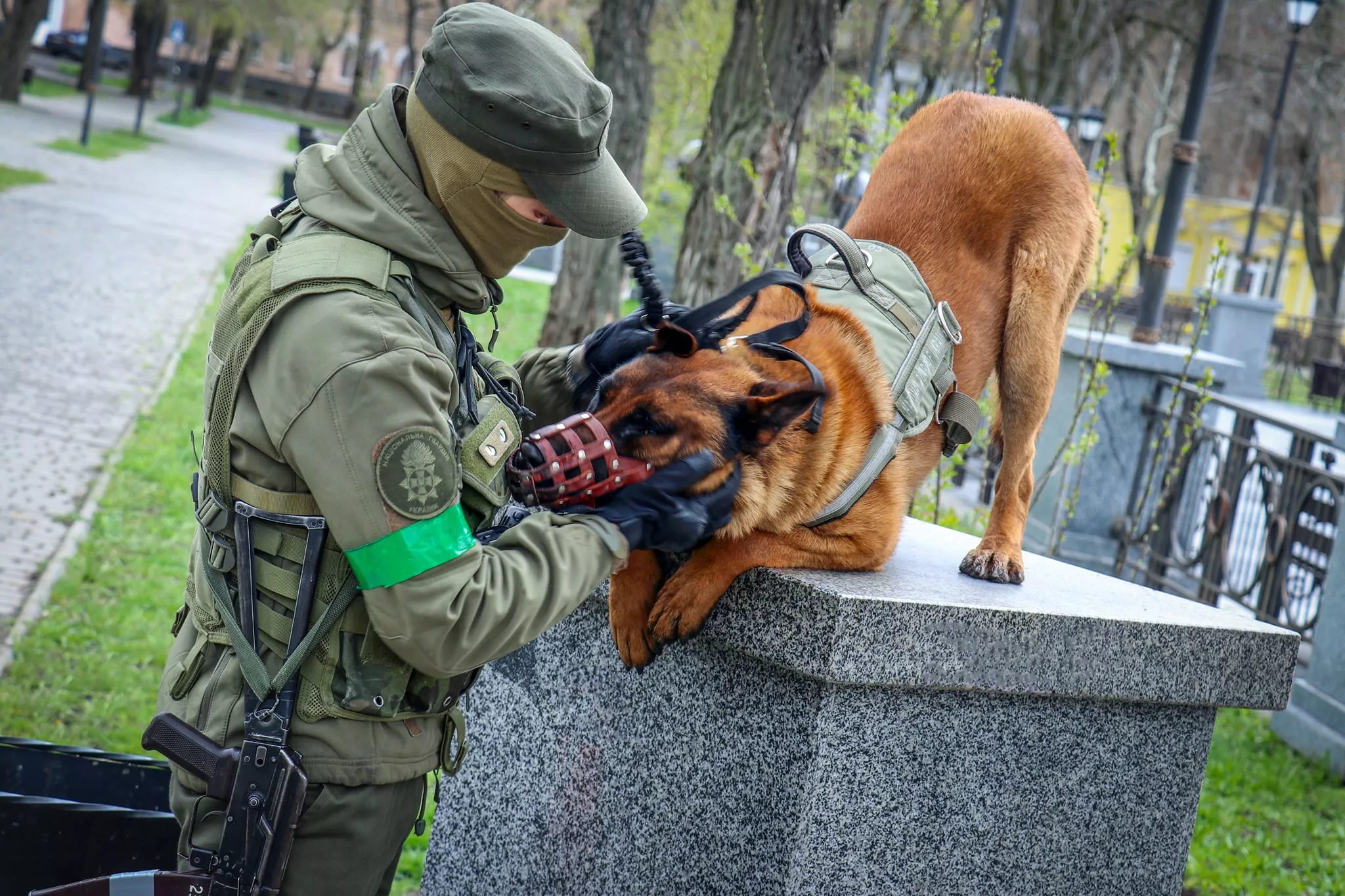Собака умная, отличная, уже выучила украинский язык, говорят волонтеры, подразумевая, что Бакс выполняет команды на украинском