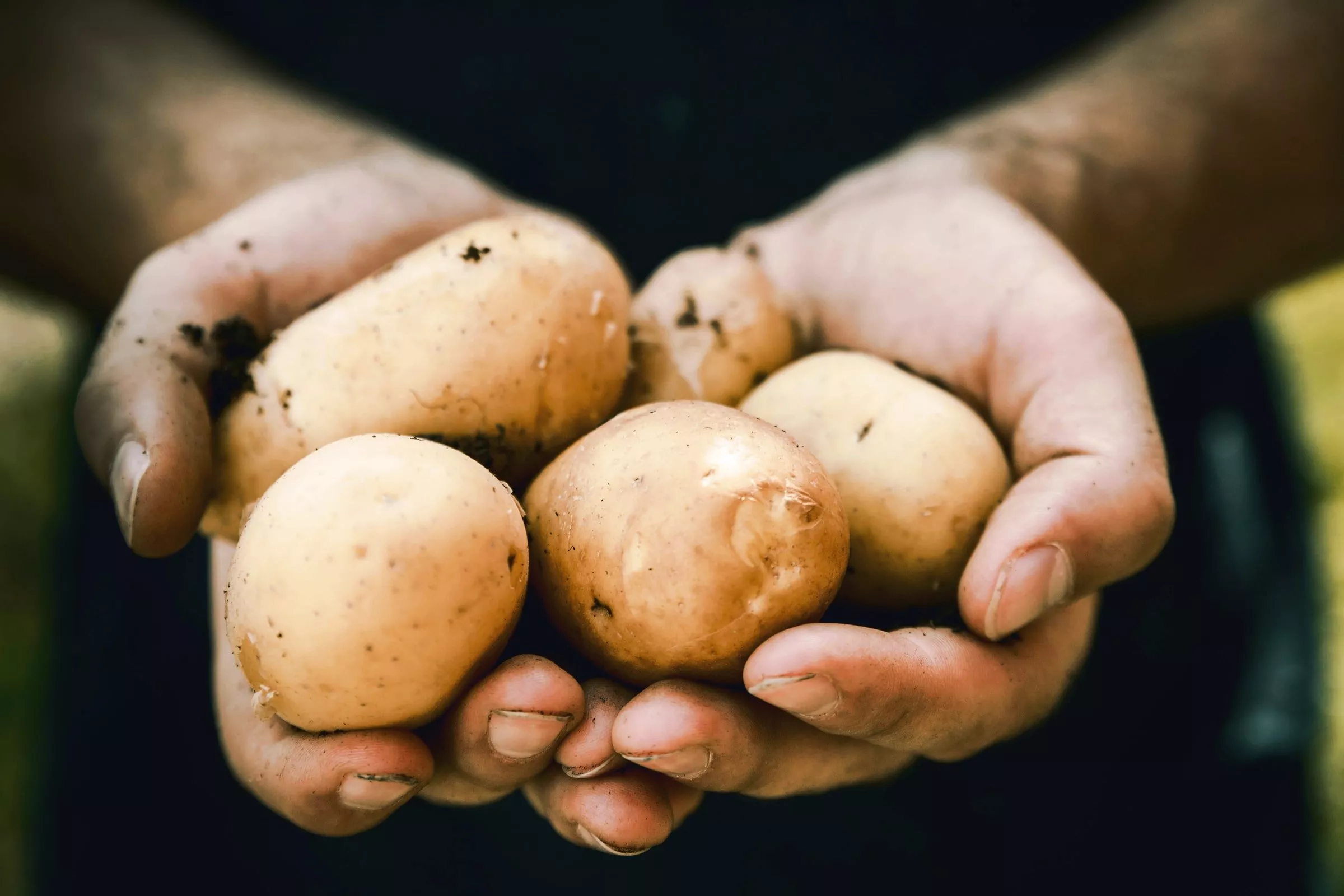 Как чистить молодую картошку / Фото: unsplash