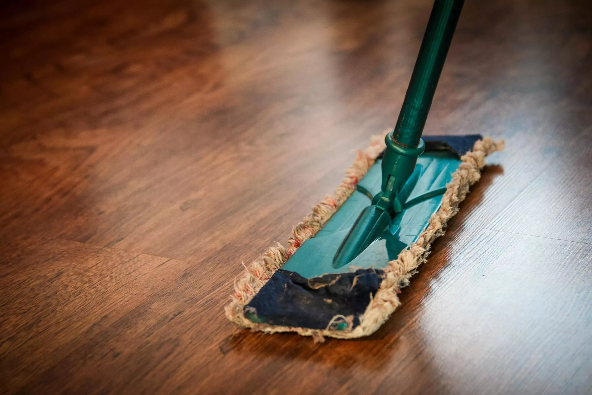 Влажная уборка дома удаляет пух / Фото: pixabay