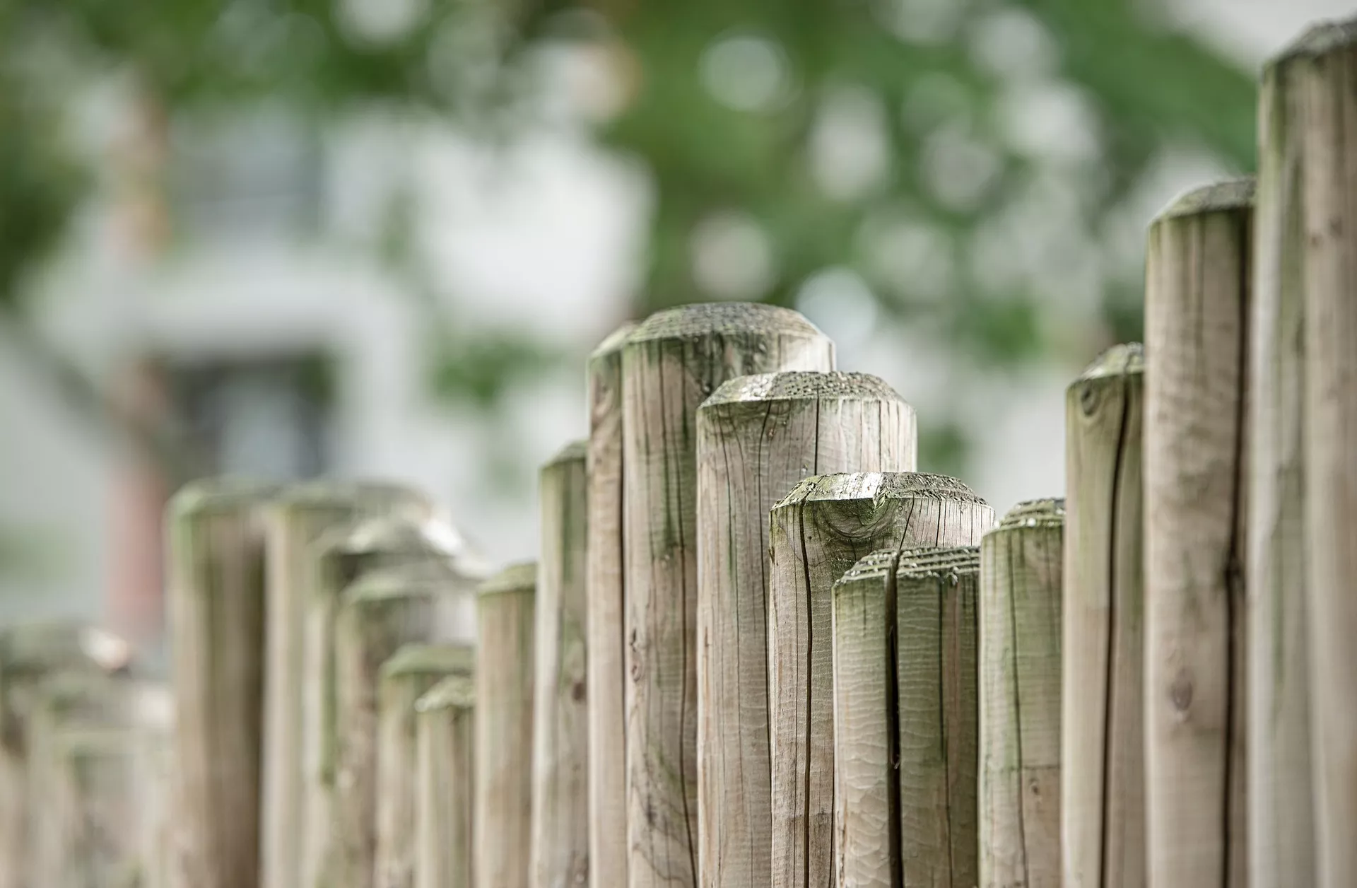 Изгородь может остановить кротов / Фото: pixabay
