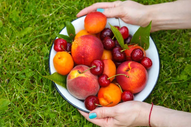 Любые фрукты и ягоды употреблять стоит умеренно и лучше – в 1-й половине дня