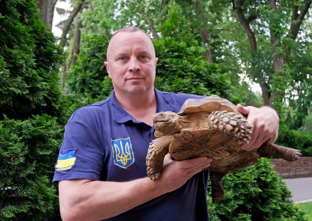Директор зоопарка с черепахой, которую спасли от русских оккупантов в частном зоопарке / фото Киевский зоопарк