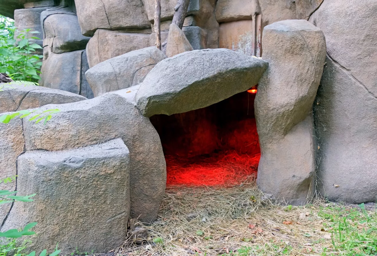 Для пары крупных черепах построили пещеру с подогревом /фото Киевский зоопарк