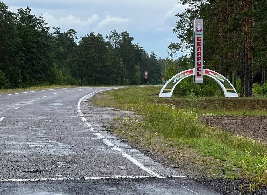 На границе с Беларусью – труднопроходимые леса и болота. Фото: Ровенская ОВА.