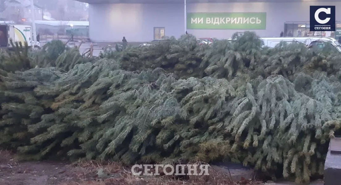 В Соломенском районе уже продают елки