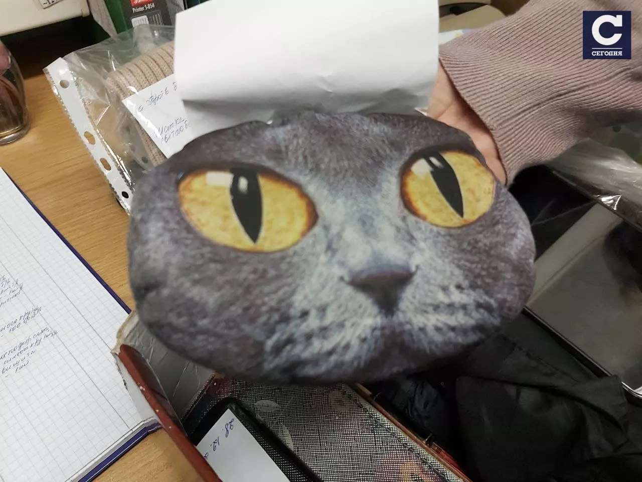 Оригинальная сумка с мордочкой кота/ фото "Сегодня"