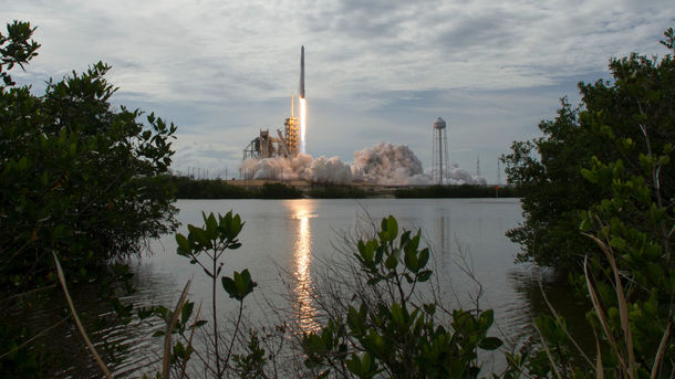 Ракета Falcon 9 компании SpaceX. Фото: getty images