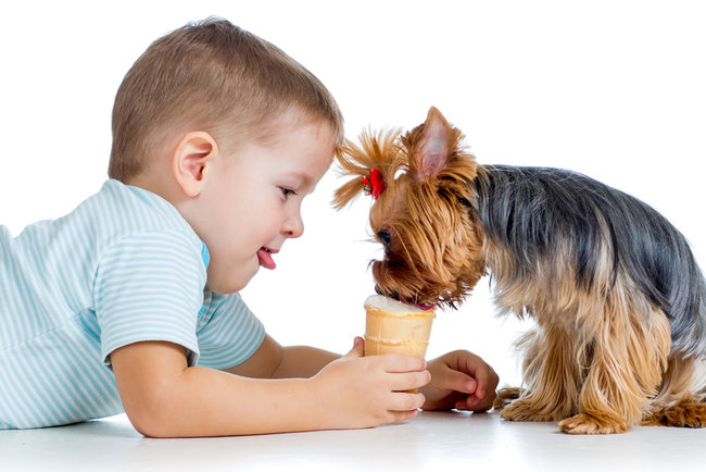Вредность ребенок. Мороженое для собак. Собака на белом фоне для детей. Девочка кормит собаку. Дети кормят собак на белом фоне.