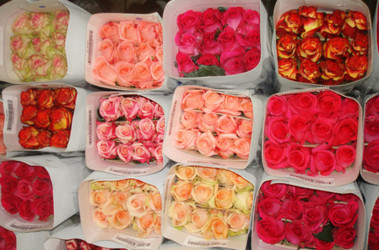 8 марта наибольшие прибыли подсчитывают торговцы цветами. Фото: art-flora.net