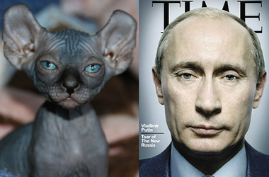 Путин и лысый кот. Фото: pharaon01.livejournal.com