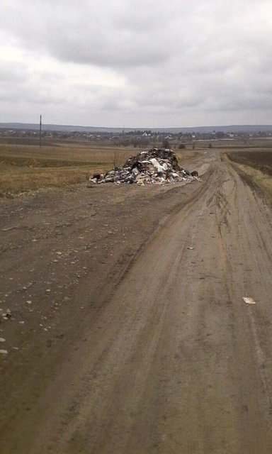 <p>Дорога між селами, де викинули сміття. Фото: Варта-1</p>