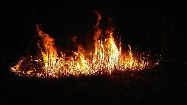 Пожары на Оболонской набережной. Фото: facebook.com/MNSKyiv