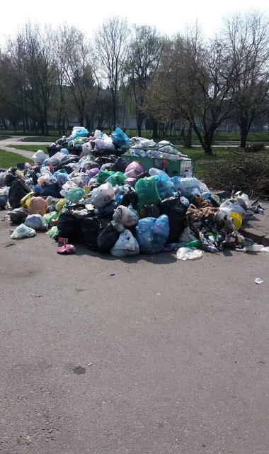 Город снова завален мусором. Фото: Т.Самотый