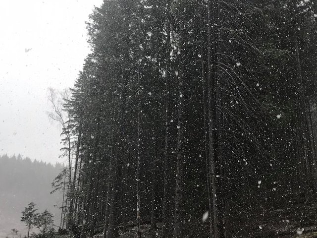 Снег в горах. Фото: Facebook.com