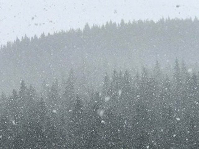 Снег в горах. Фото: Facebook.com