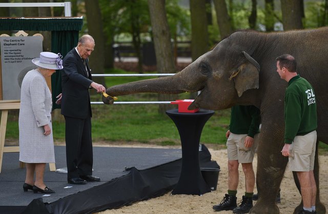 Королева Британии и слон Елизавета. Фото: AFP