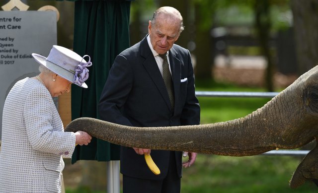 <p>Королева Британії і слон Єлизавета. Фото: AFP</p>