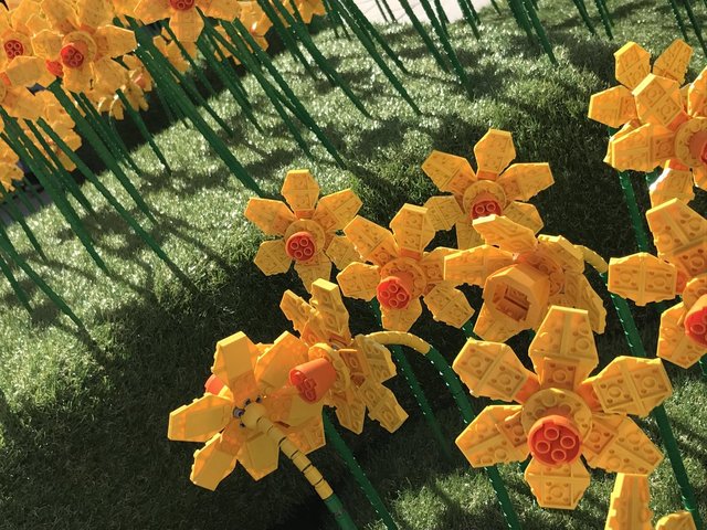 <p>Знімками пластикових квітів почали ділитися користувачі соціальних мереж. Фото: соцмережі</p>