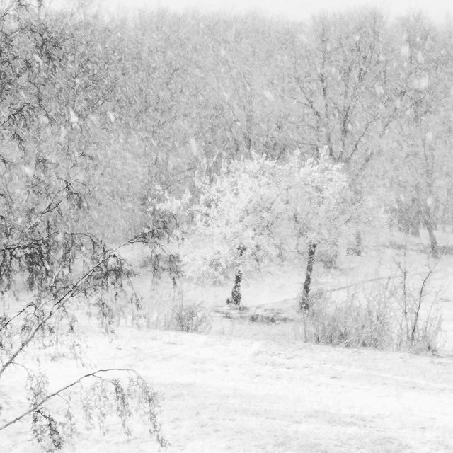 <p>Харків засипало снігом. Фото: соцмережі</p>